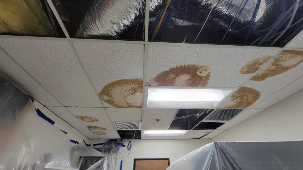 Mold & Sewage Remediation - MSB Disaster Recovery Services, Inc